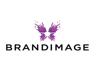 品牌咨询设计公司Brandimage