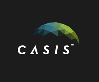 CASIS 设计