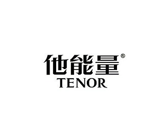 他能量(Tenor)企业