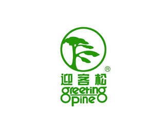 迎客松图片