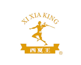西夏王图片