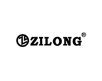 志荣(ZILONG)图片