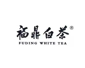 福鼎白茶图片