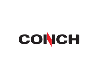 海螺水泥(CONCH)企业