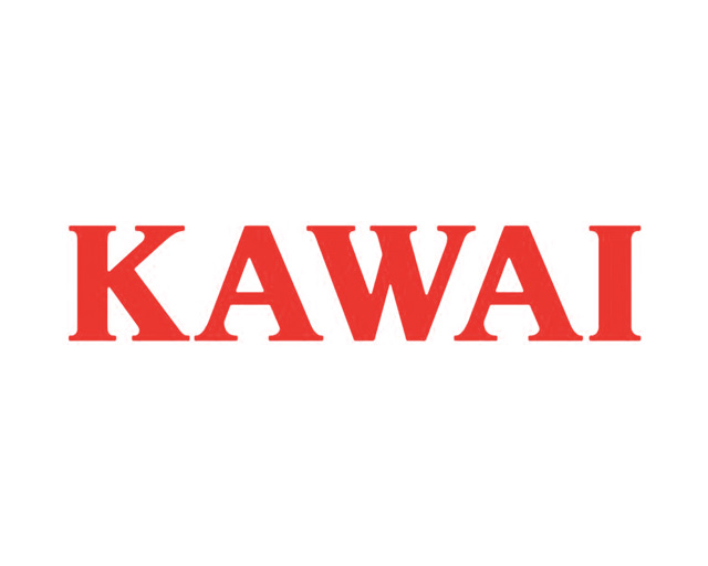 卡瓦依(KAWAI)企业