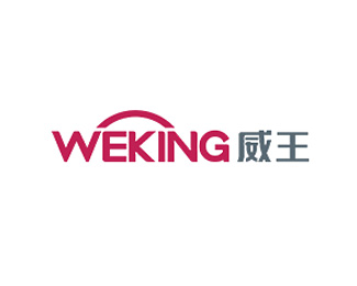 威王(WEKING)图片