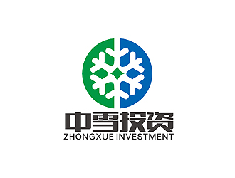 中雪投资公司