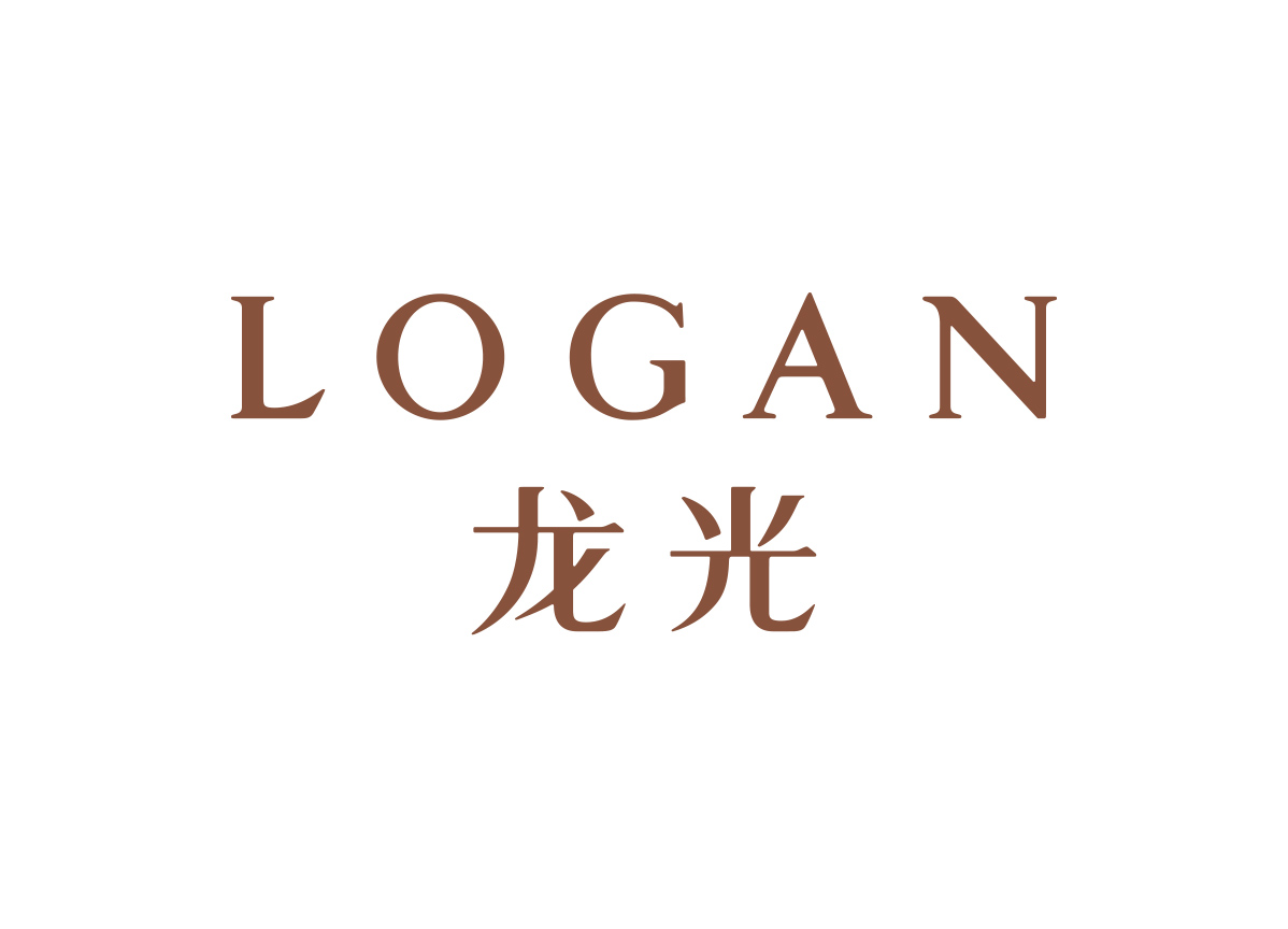 龙光地产logo标志矢量图